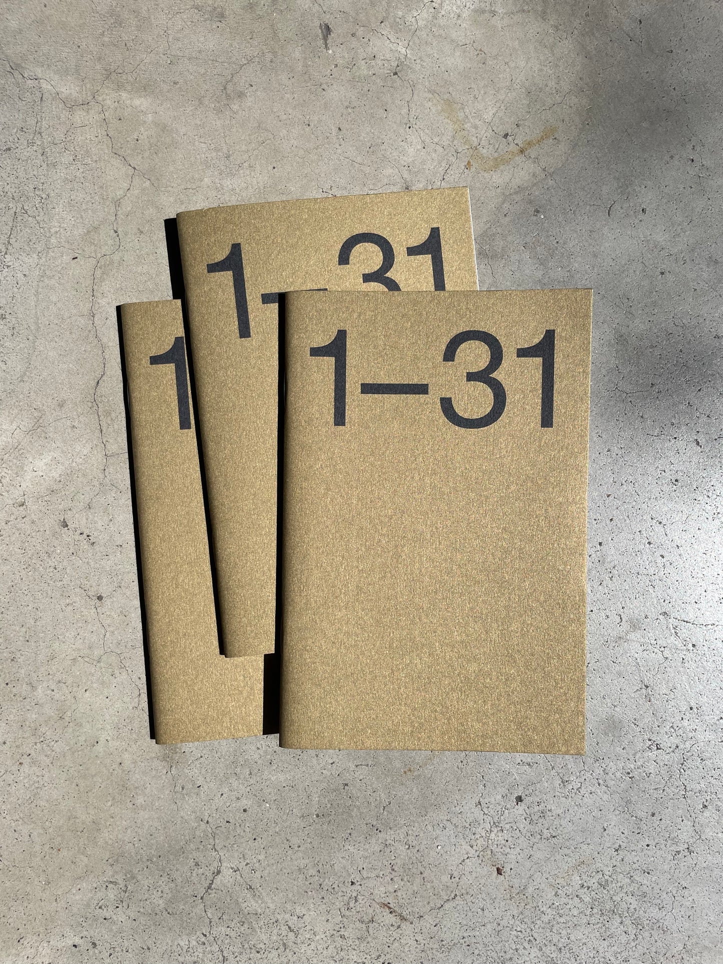 Marjolein Delhaas • Journal 31 • Choque • Set of 3