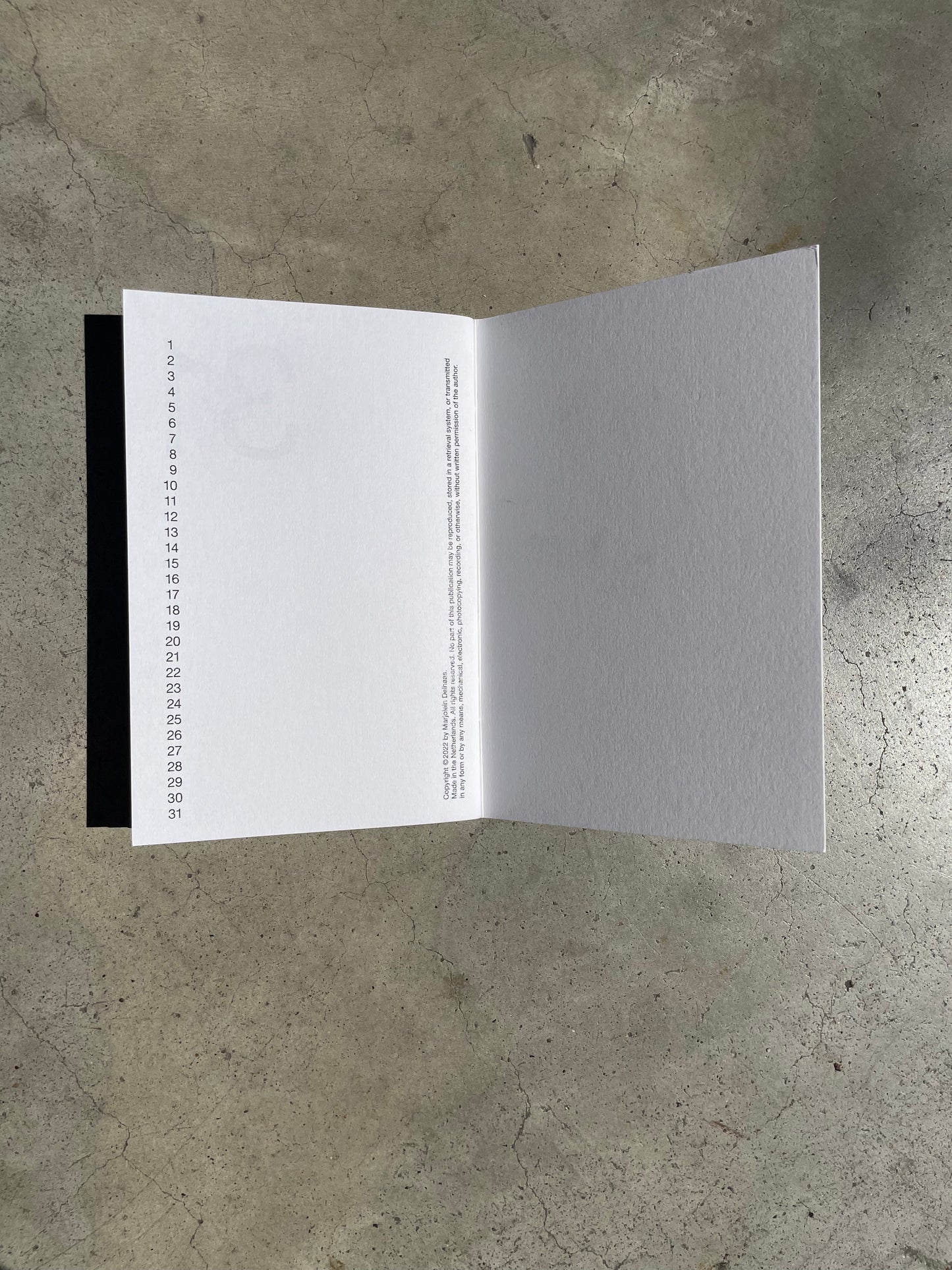 Marjolein Delhaas • Journal 31 • Choque • Set of 3