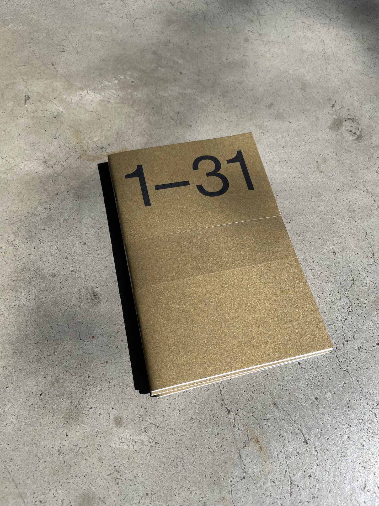 Marjolein Delhaas • Journal 31 • Choque • Set of 3