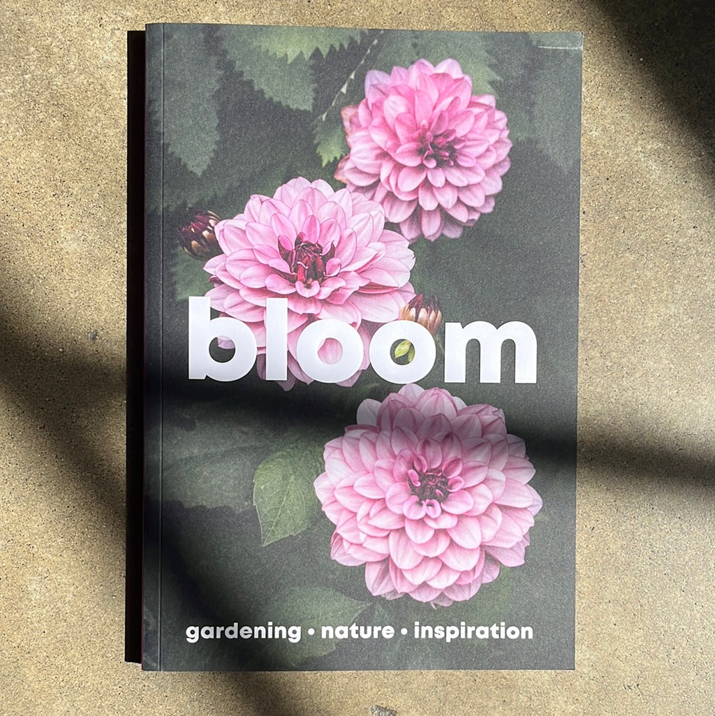 Bloom • Issue 16