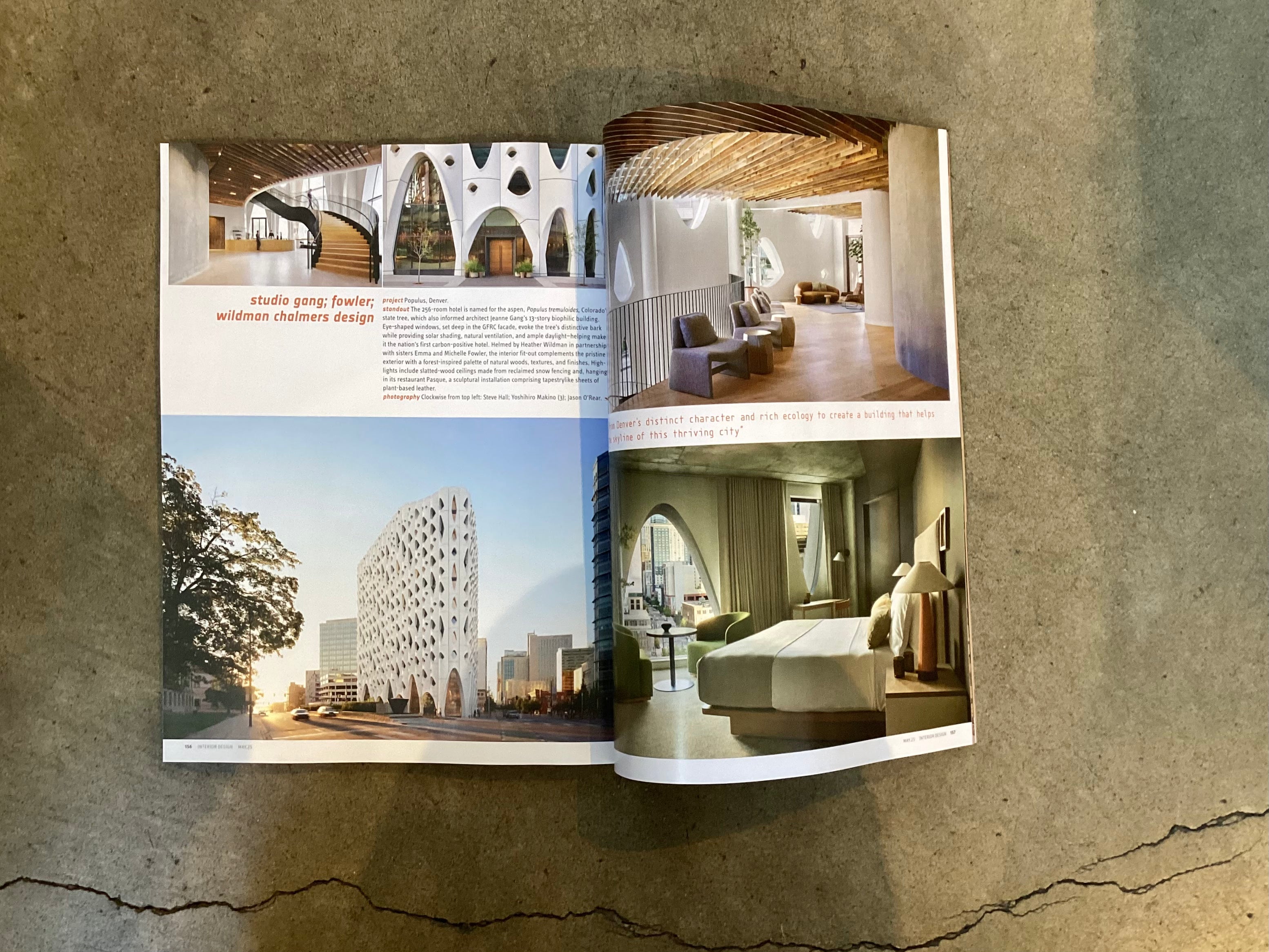 Interior Design • Spring '25