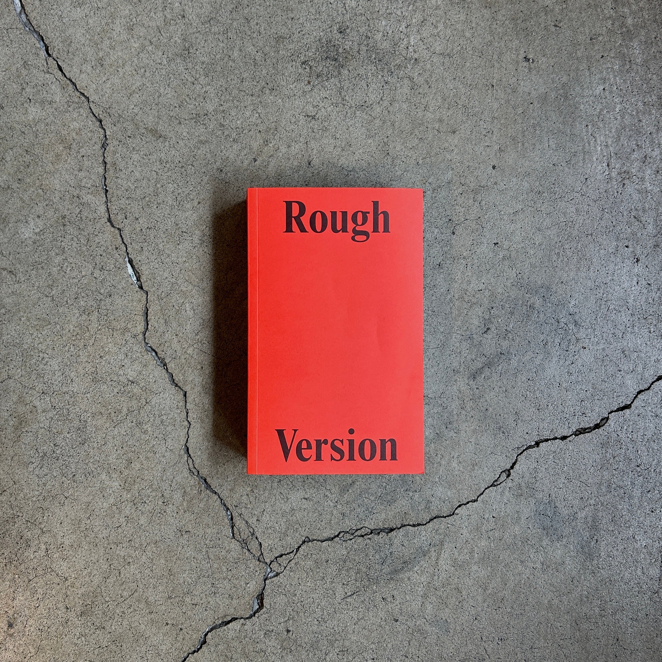 Rough Version: The NTS Interviews with Francesca Gavin